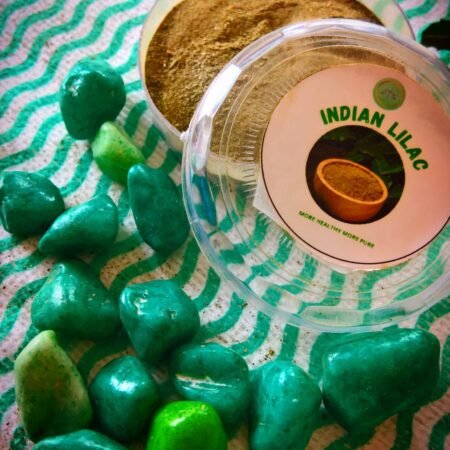 Indian Lilac (Neem)